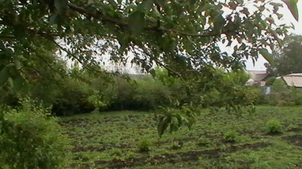 Александр Крюков