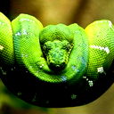 Алексей Бедрин