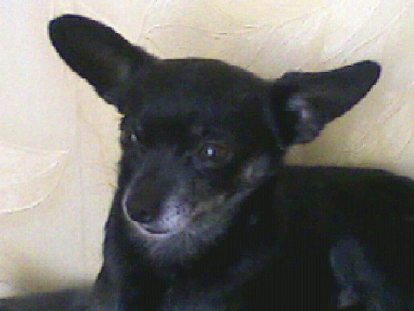 Виталя Селезнев