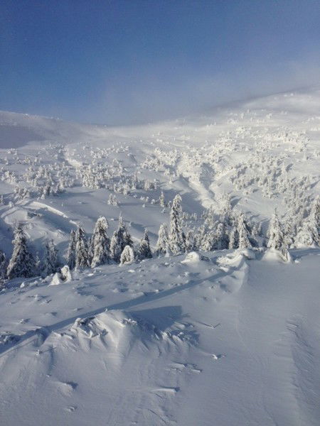 Ольга Ольга