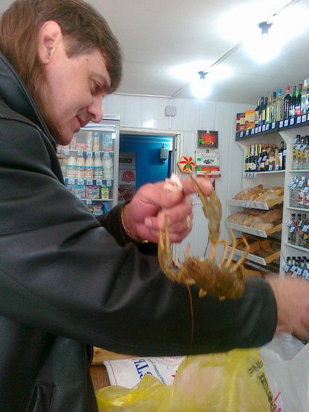 Алексей Вахтин