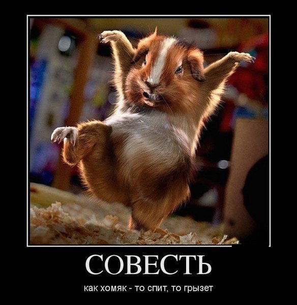 Ольга Гришаева