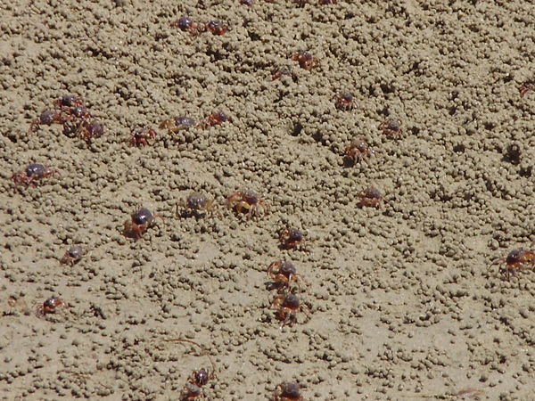 Неизвестно Неизвестно