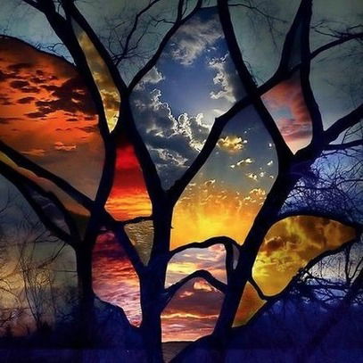 Богдана Проданчук