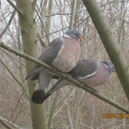 Инна Иванова