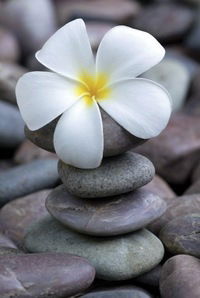 Обгони Себя Вчерашнего