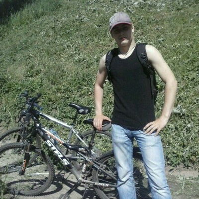 Дмитрий Видюльцев