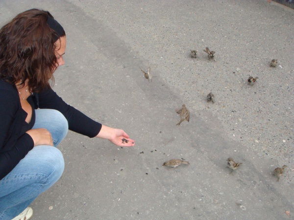 Евгения Щипанова