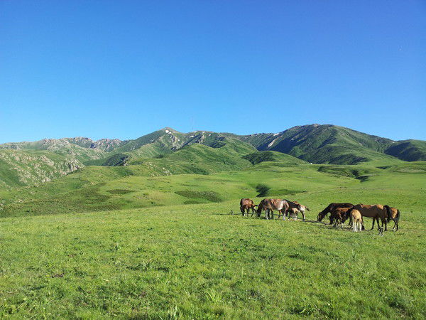 Эля Кыдырбекова