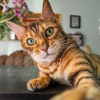 Мария Миронова