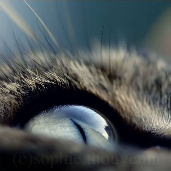 Катерина ********