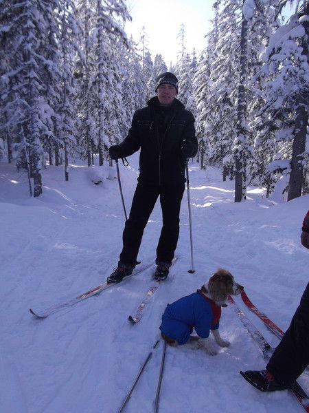 Евгений Кривошеев