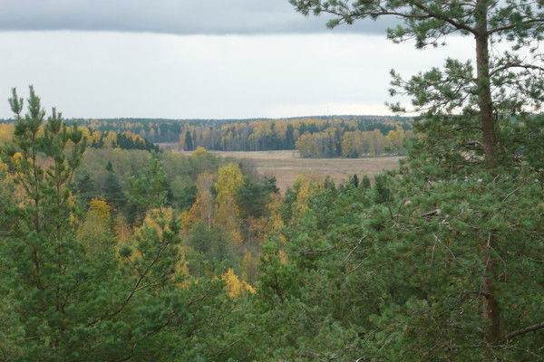 Алла Алданова