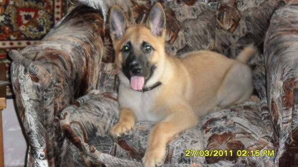 Евгений Копытов