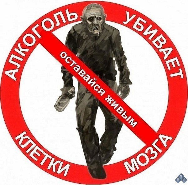 Алексей Кузлеков