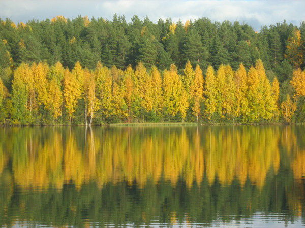 Марина ********