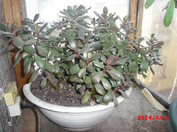 Сергей Карасев