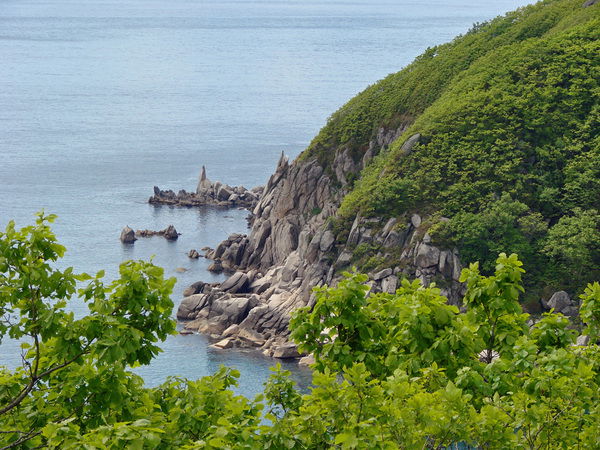 Венер Сарвартдинов