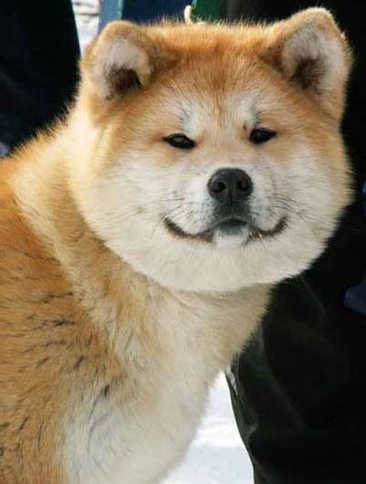 Мария Гуляева