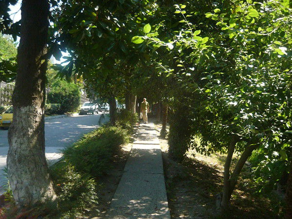 Юля Кировская