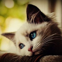 Татьяна Кузнецова