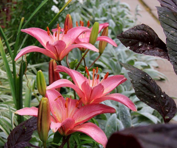 Жанара Молдабаева