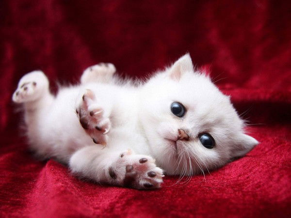 Екатерина Киндялова