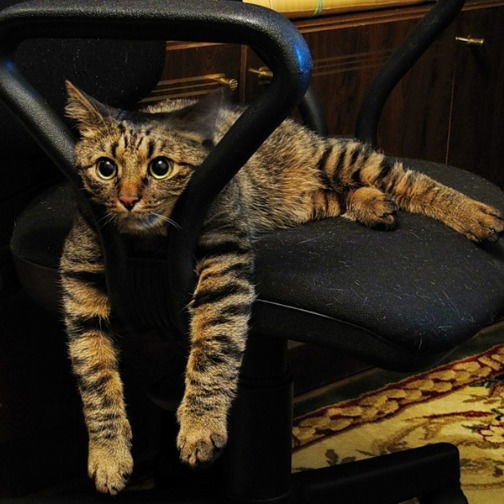 Александр Михиенко