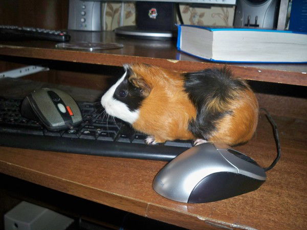 Вера Искучёва