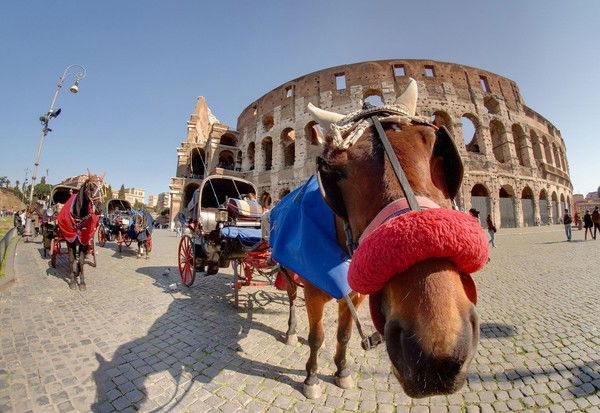Наталья Веденеева