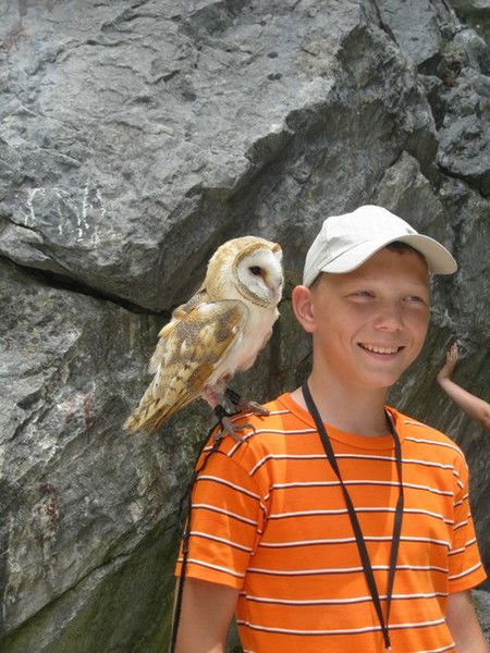 Костик Николаев