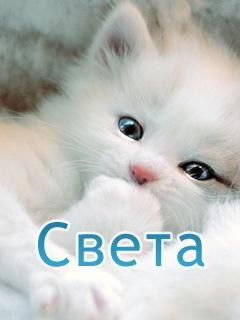 Светлана 42