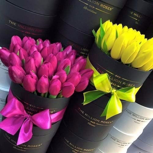 Майя Мерескина