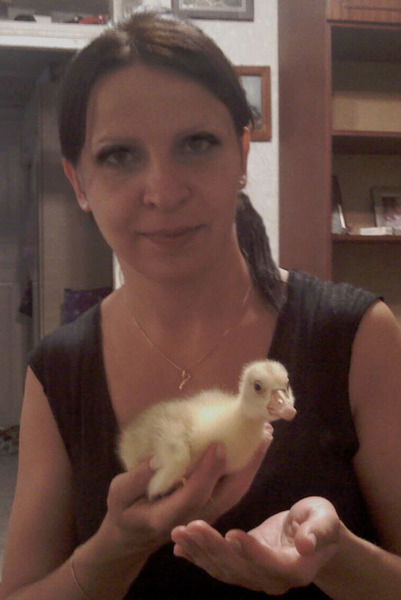 Маринука Рабинович