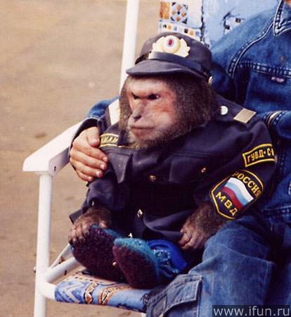 Денис Мельников