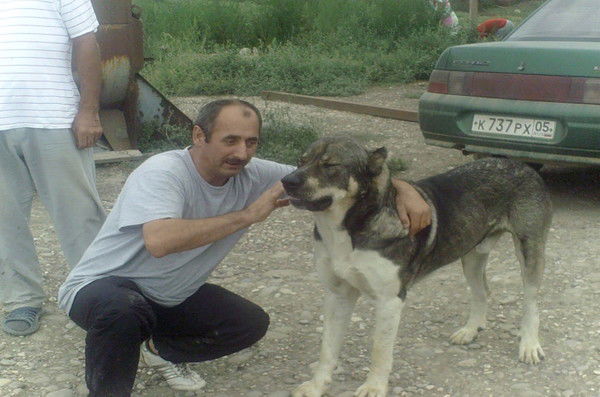 Сулик Омаров