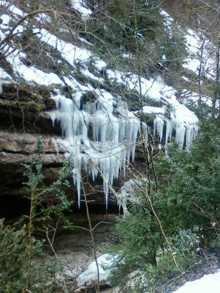 Юлия Просвиряк