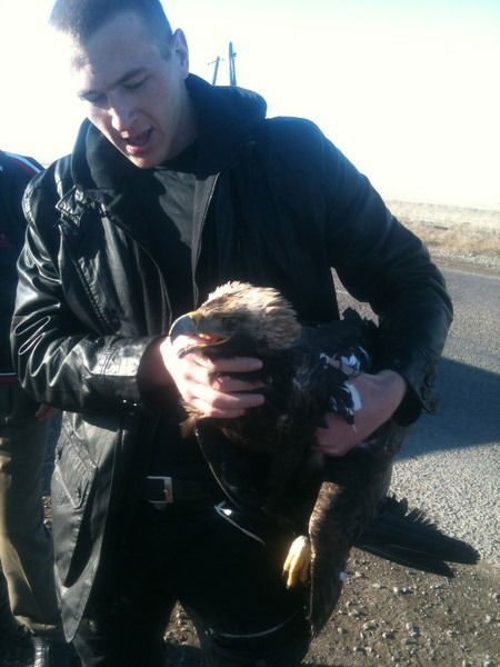 Виктор Городецкий