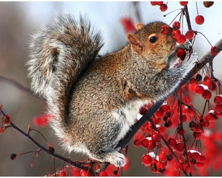 Белова Татьяна