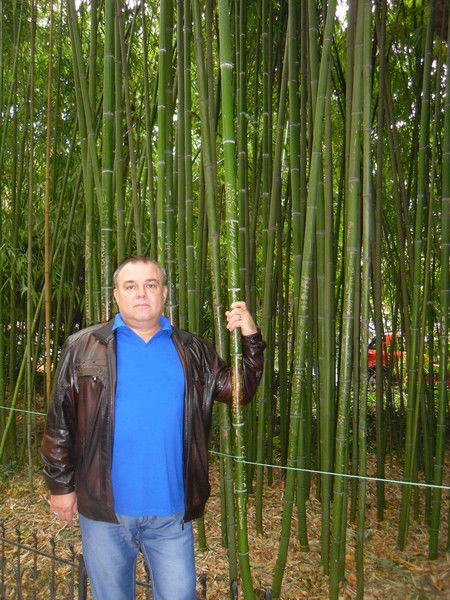 Валентин Балабка