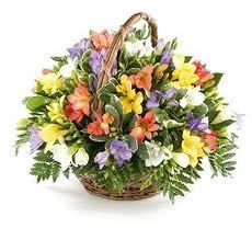 Алла Петрішак