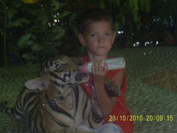 Михаил Николаев