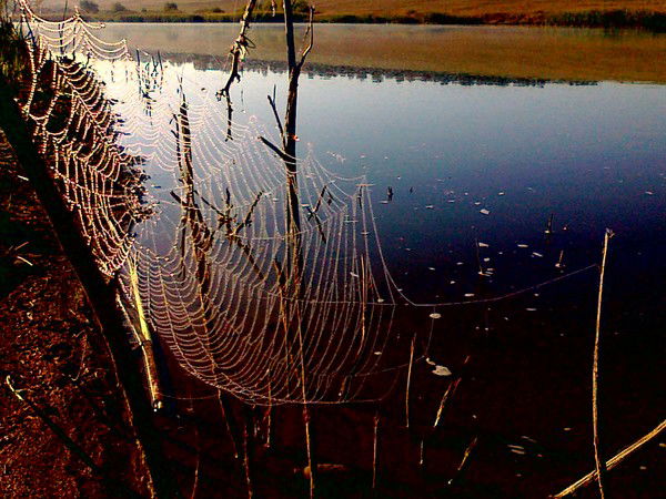 Сергей Перцев