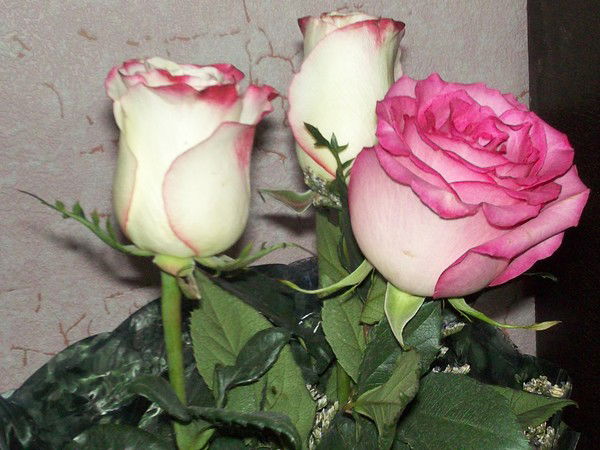 Людмила И@@@@@