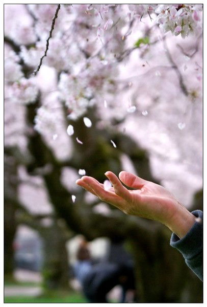 Альбина Курбанова