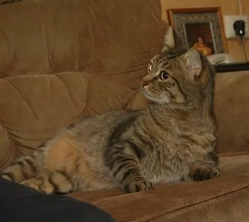 Дмитрий Сергеевич