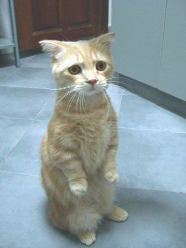 Римма Владимировна