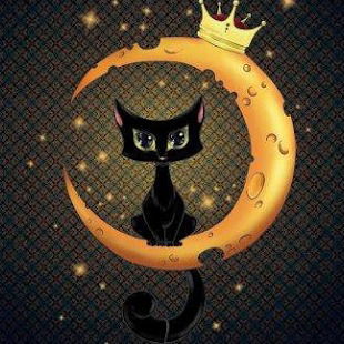 Светлана Сорокина