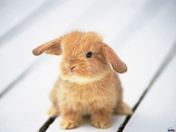 Александр Зайцев