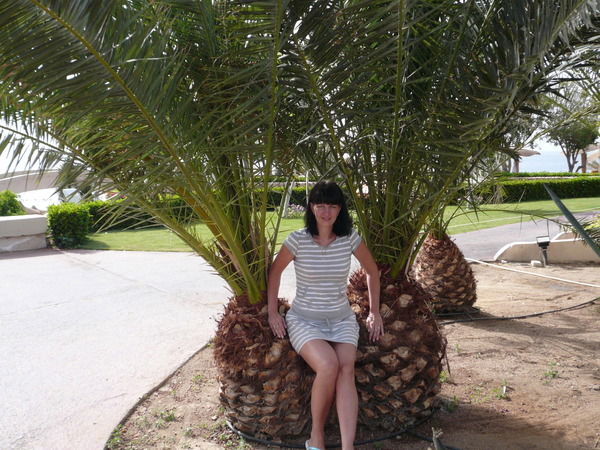 Лариса Прозорова